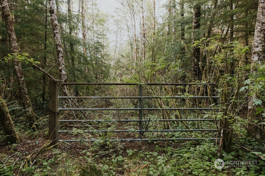 9999 Mora Road Forks, WA 98331 - Photo 5 of 15