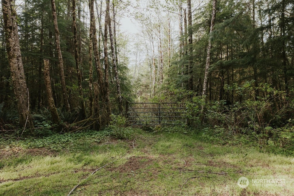 9999 Mora Road Forks, WA 98331 - Photo 6 of 15