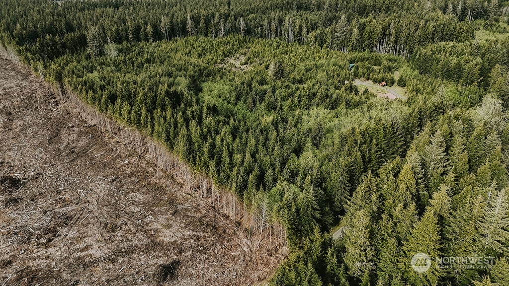 9999 Mora Road Forks, WA 98331 - Photo 8 of 15