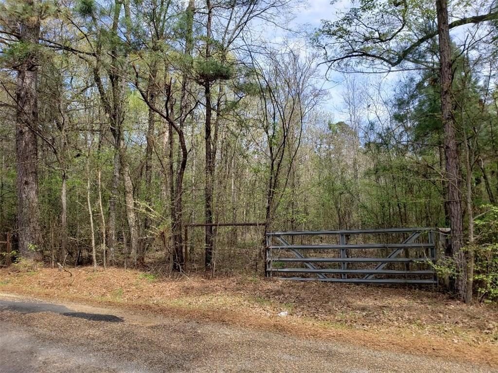 0 Reed Lawrence Road Deville, LA 71328 - Photo 2 of 2