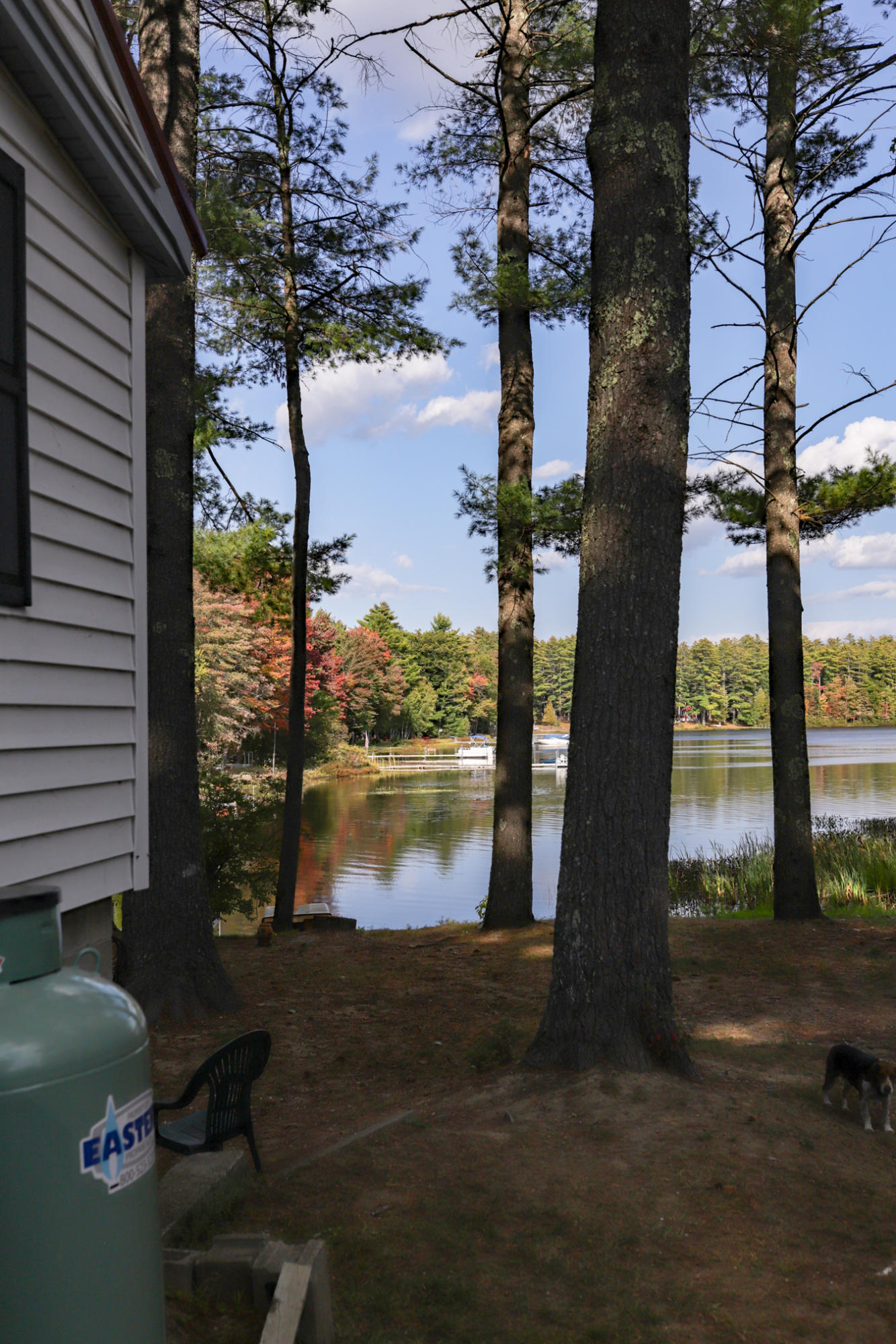 63 Loop Road Acton, ME 04001 - Photo 28 of 35 IMG_8856