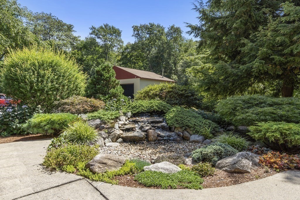 14 Shawmut Avenue Danvers, MA 01923 - Photo 31 of 40 a view of a garden with a plants and trees