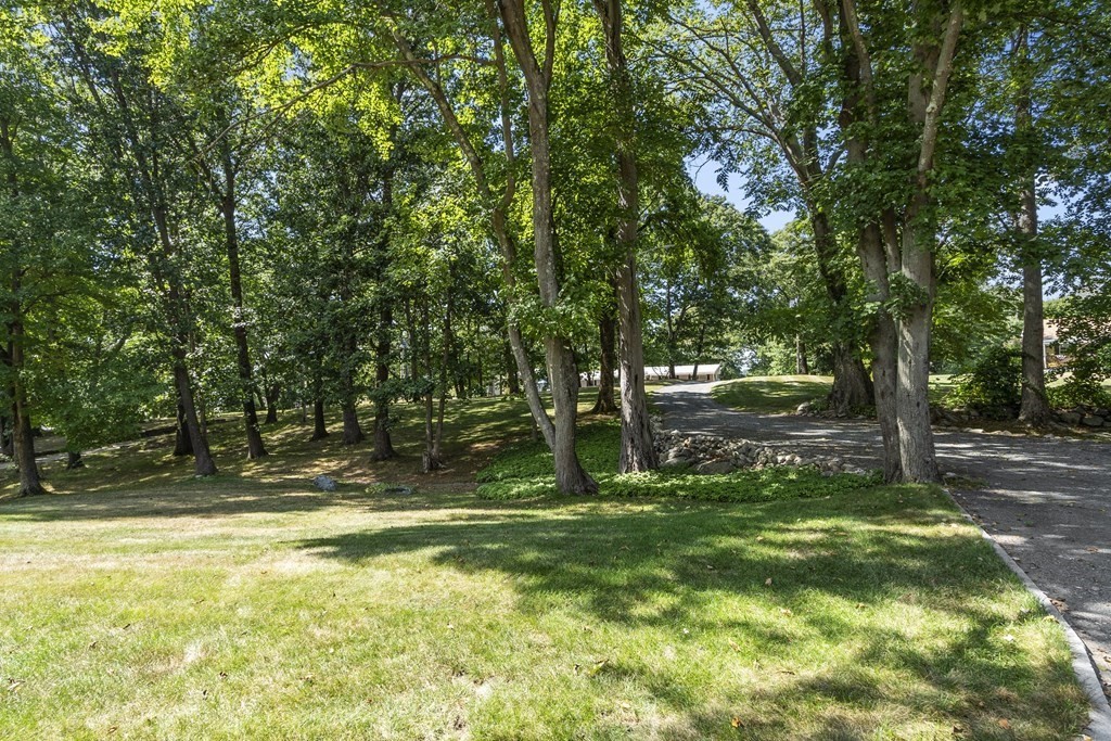 14 Shawmut Avenue Danvers, MA 01923 - Photo 38 of 40 a view of a yard with a tree
