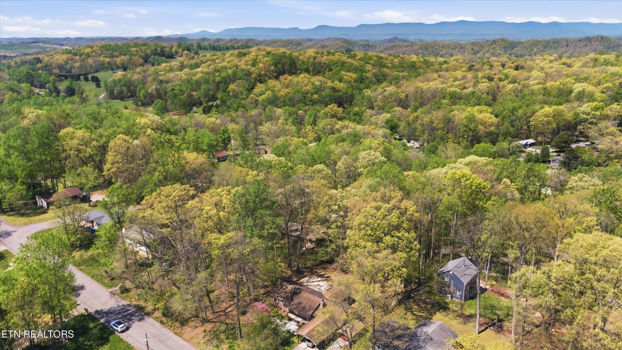 3308 Gumstand Drive Powell, TN 37849 - Photo 37 of 37