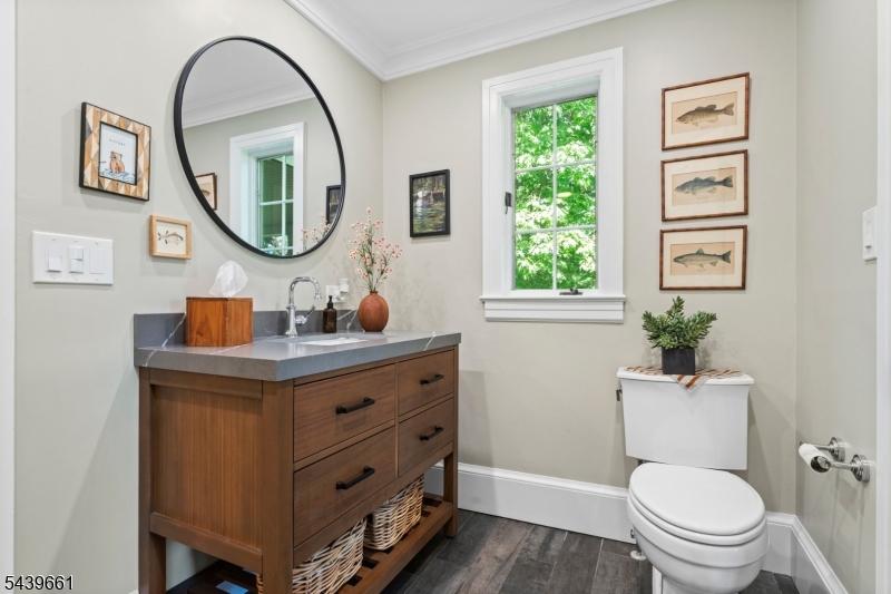 29 Bedens Brook Road Skillman, NJ 08558 - Photo 21 of 50 a bathroom with a toilet a sink and a mirror