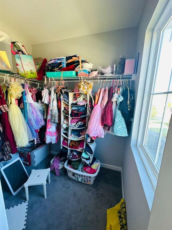 8035 Stiner Grove Ball Ground, GA 30107 - Photo 33 of 35