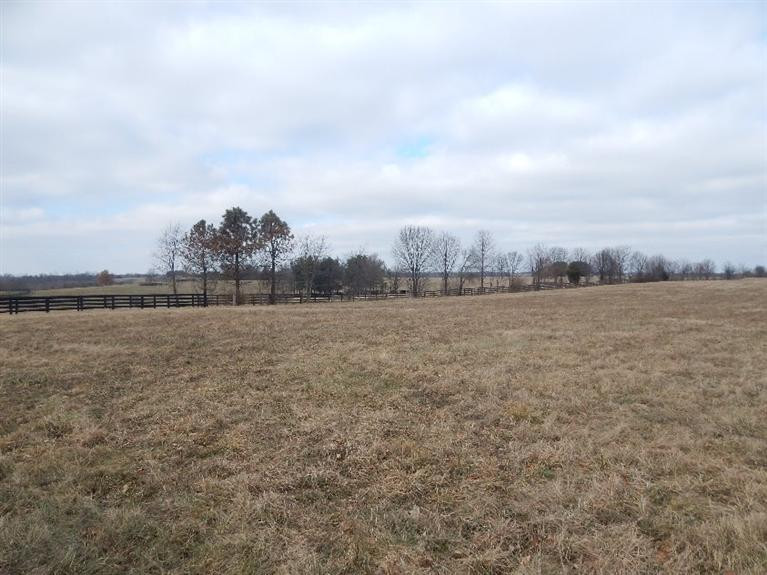 1700 West Leestown Road Midway, KY 40347 - Photo 5 of 11 Photo 5
