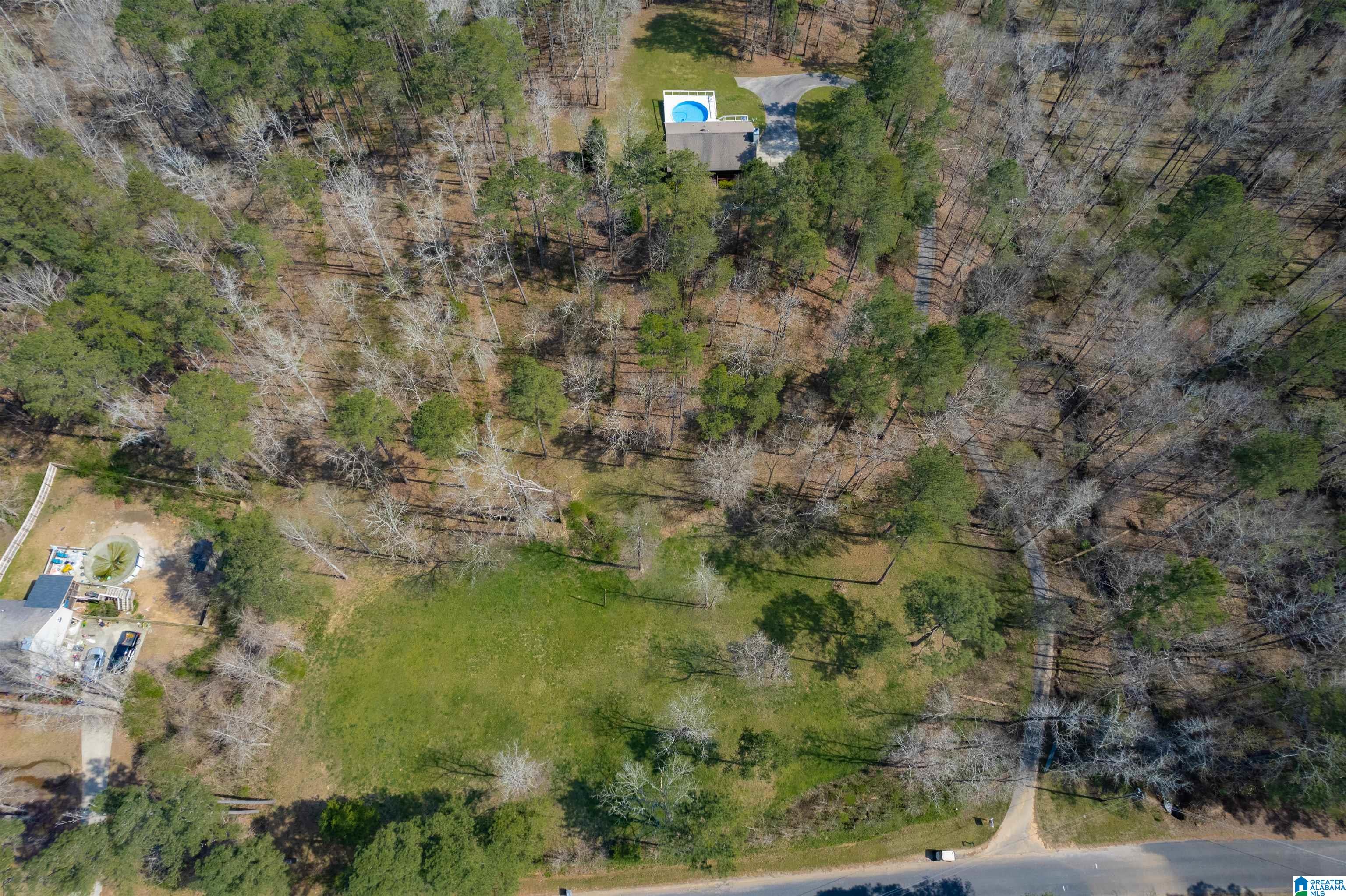 184 Sequoyah Road Pell City, AL 35128 - Photo 45 of 46