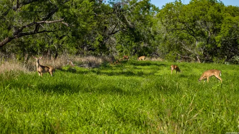 $2,532,000 | 422 F M 791, Campbellton, TX 78008