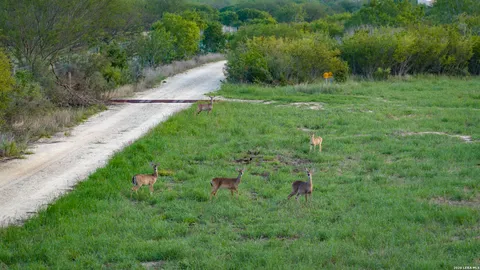$2,532,000 | 422 F M 791, Campbellton, TX 78008