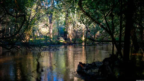 $2,532,000 | 422 F M 791, Campbellton, TX 78008