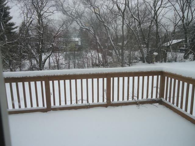 855 Oak Ridge Boulevard Elgin, IL 60120 - Photo 4 of 6