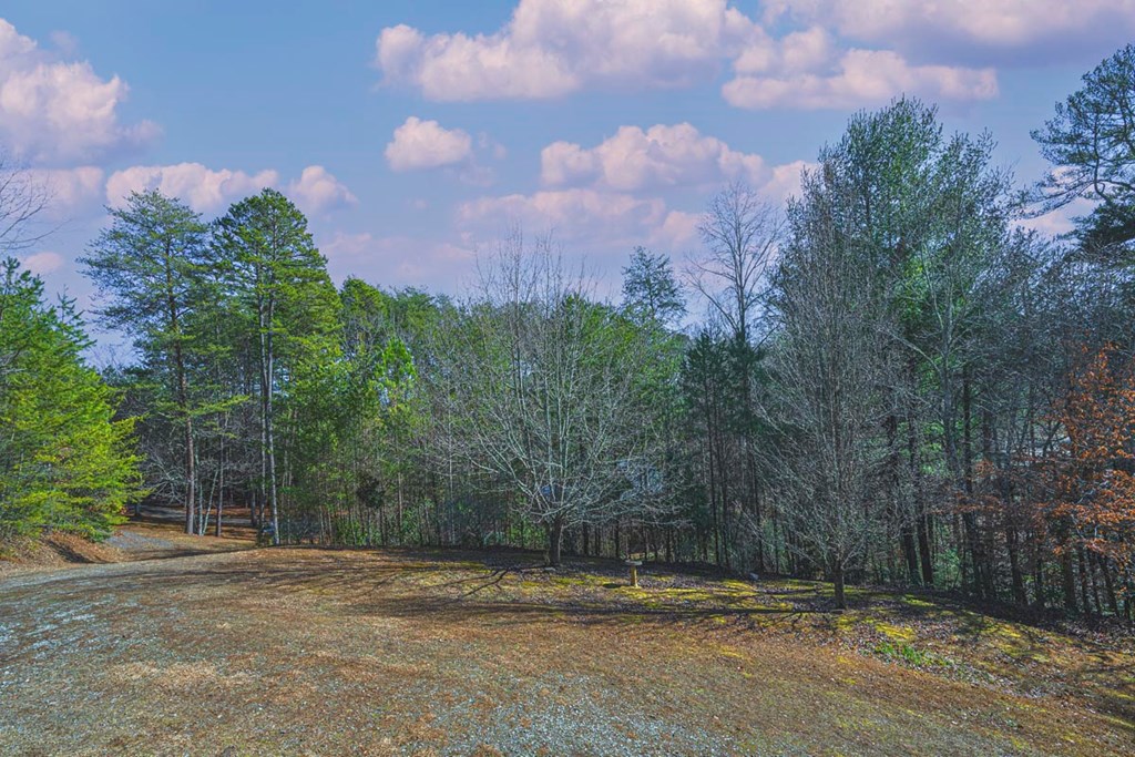 220 Yellowbird Trail Blue Ridge, GA 30513 - Photo 5 of 57 Gallery Image 5