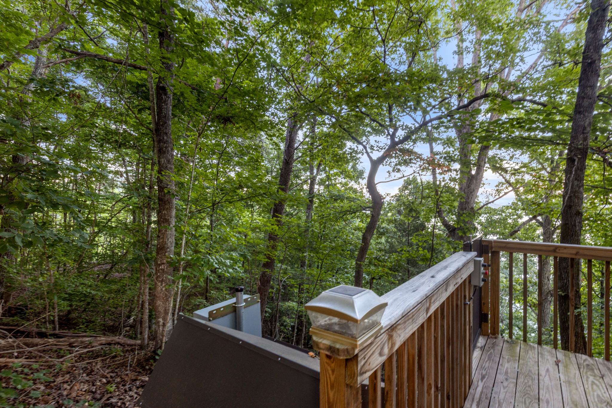260 Lakeside Lodge Road Spring City, TN 37381 - Photo 37 of 64 Gallery Image 37