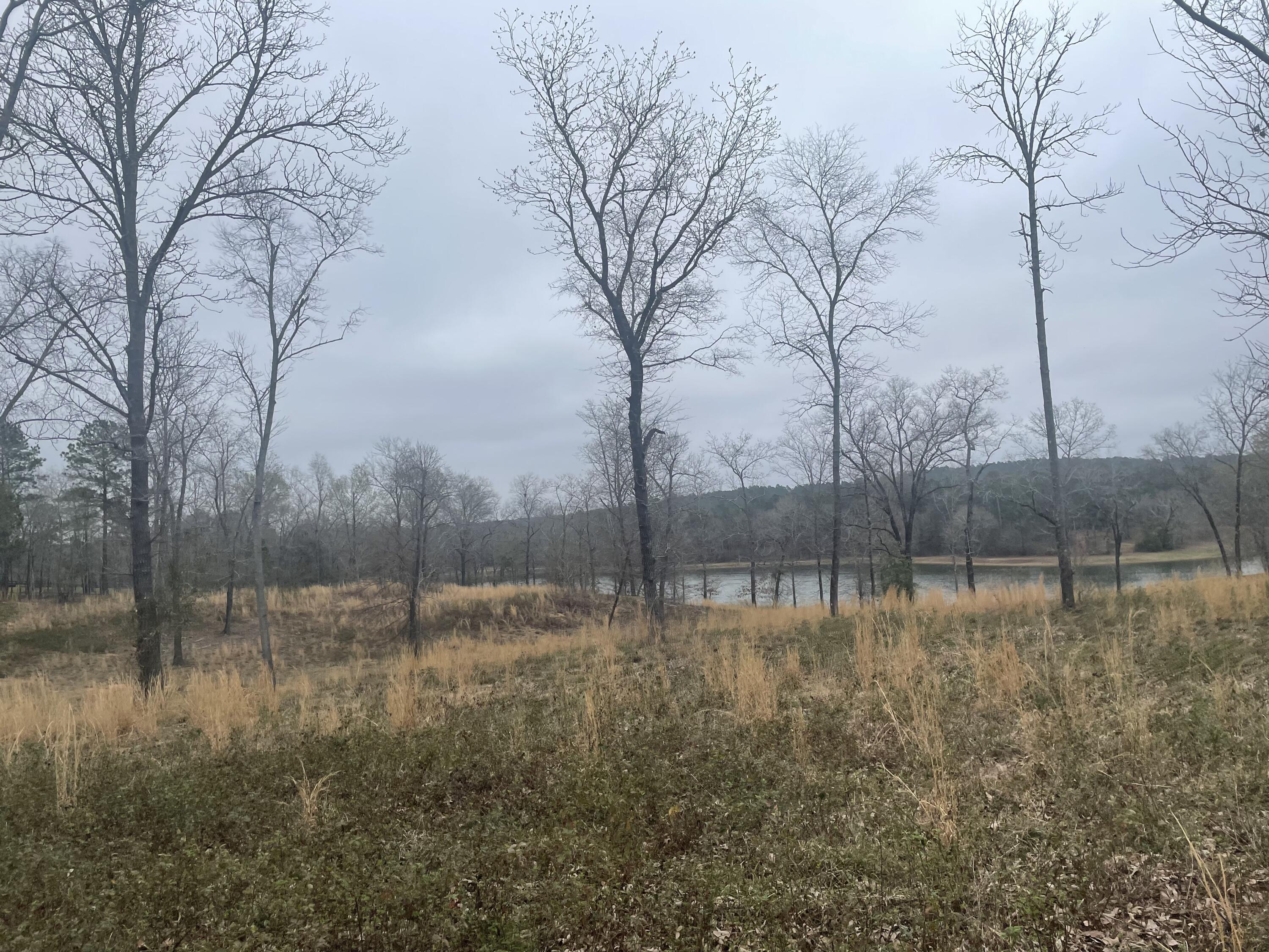 Lot 8 Storm Branch Road Beech Island, SC 29842 - Photo 1 of 1