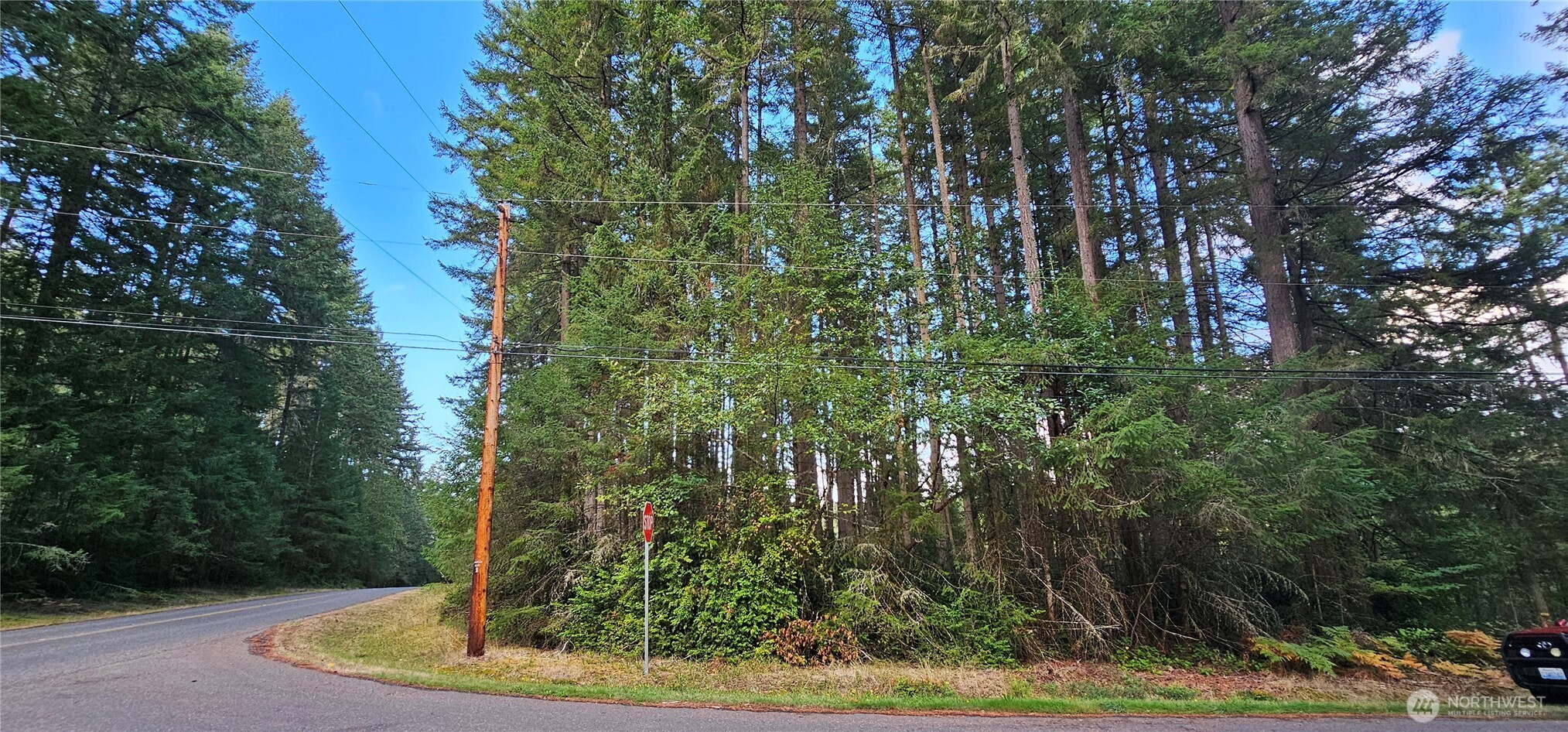 10115 Edgewood Drive Anderson Island, WA 98303 - Photo 1 of 16 a view of a yard with a tree