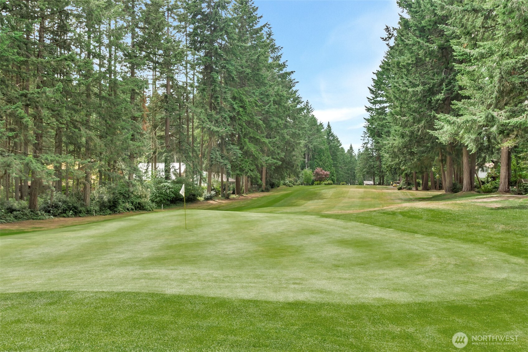 10115 Edgewood Drive Anderson Island, WA 98303 - Photo 11 of 16 a view of a trees in a yard