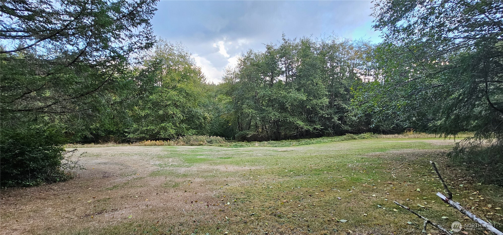 10115 Edgewood Drive Anderson Island, WA 98303 - Photo 2 of 16 a view of outdoor space with trees all around
