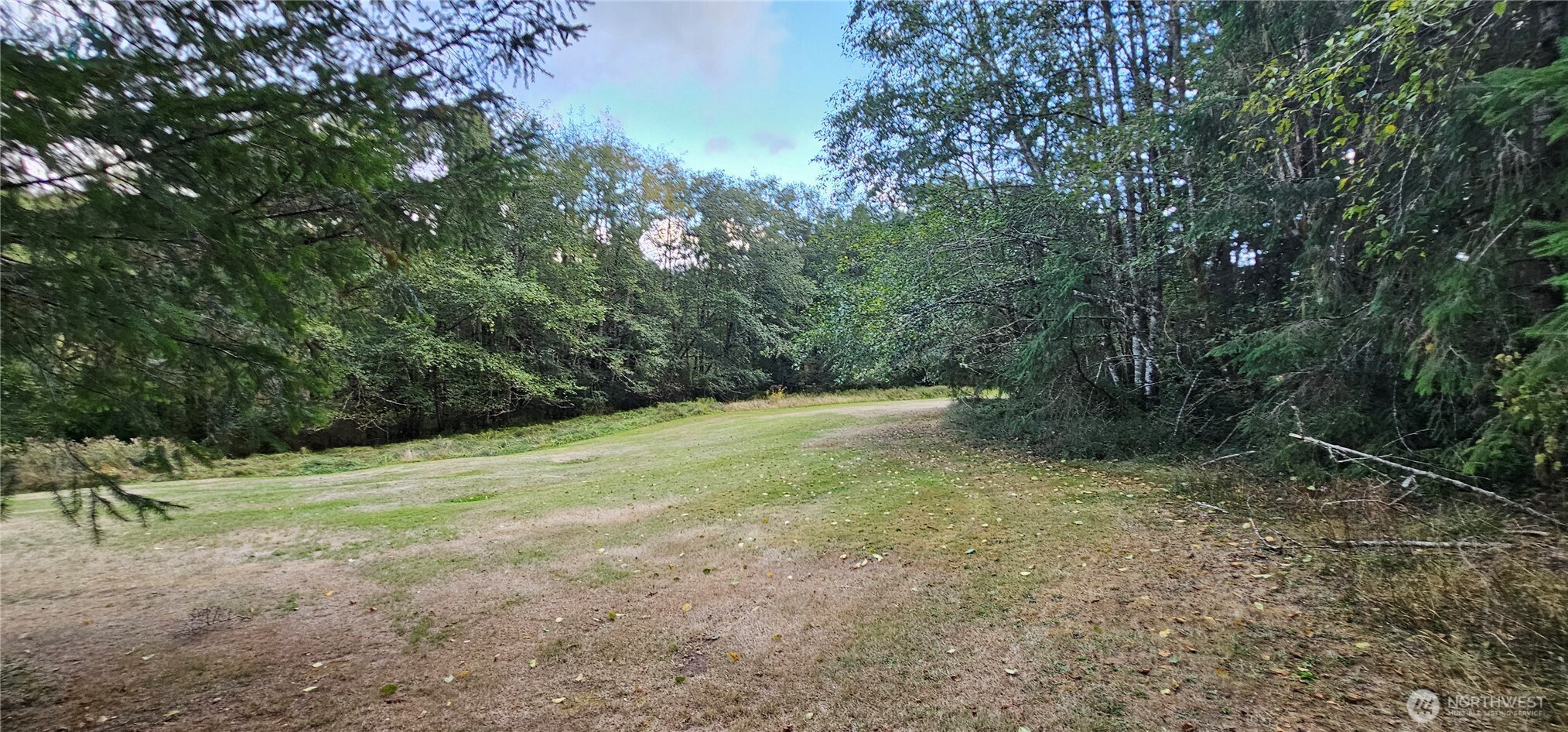 10115 Edgewood Drive Anderson Island, WA 98303 - Photo 4 of 16 a view of a field with a tree