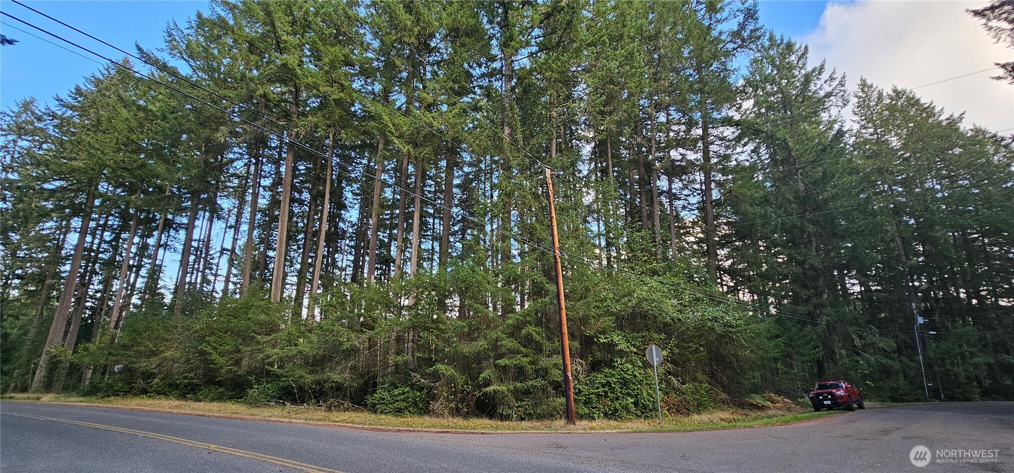 10115 Edgewood Drive Anderson Island, WA 98303 - Photo 7 of 16 a view of a yard with plants and trees