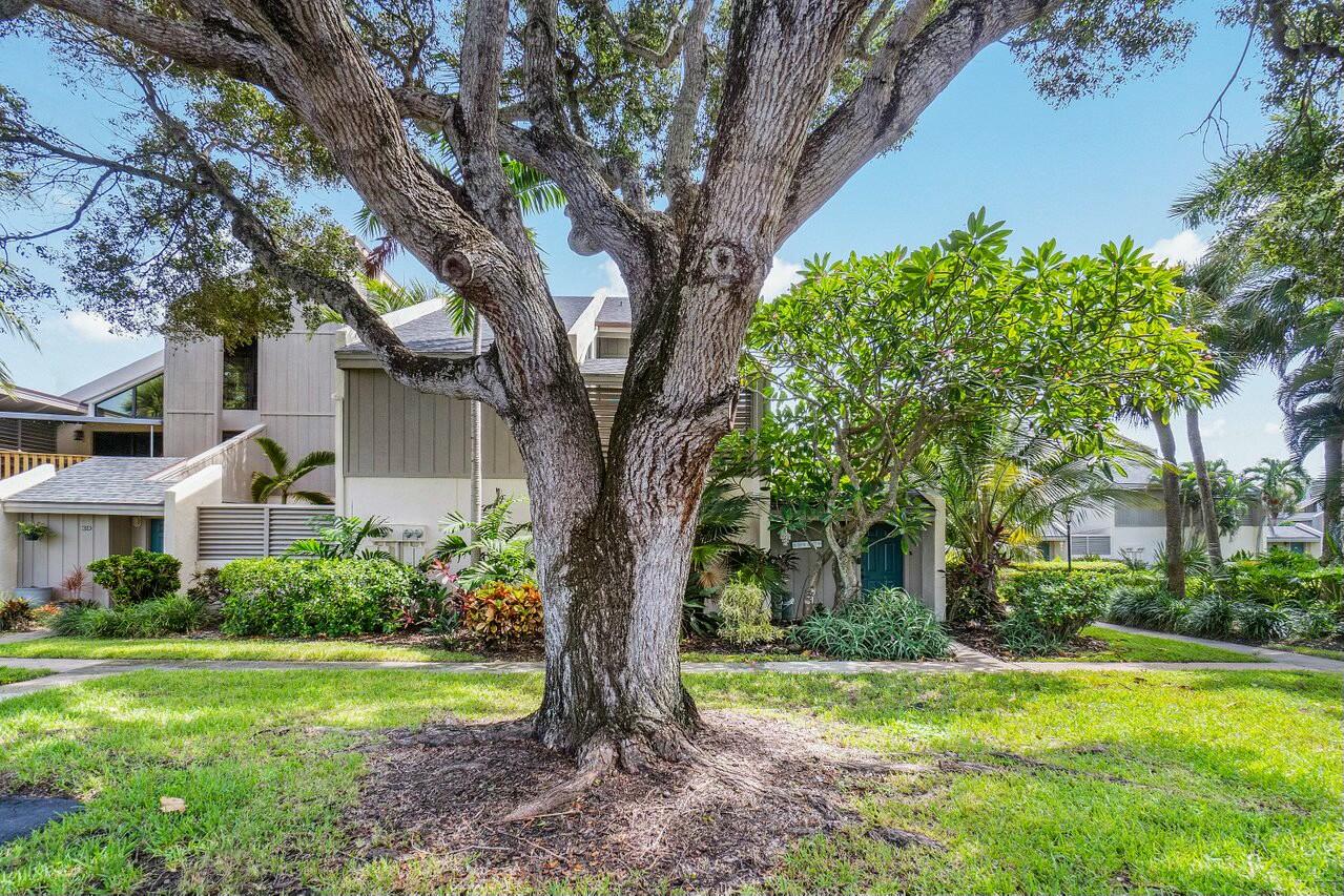 1605 Highway 1, Unit 3H Jupiter, FL 33477 - Photo 20 of 20 a view of a house with a tree in a yard