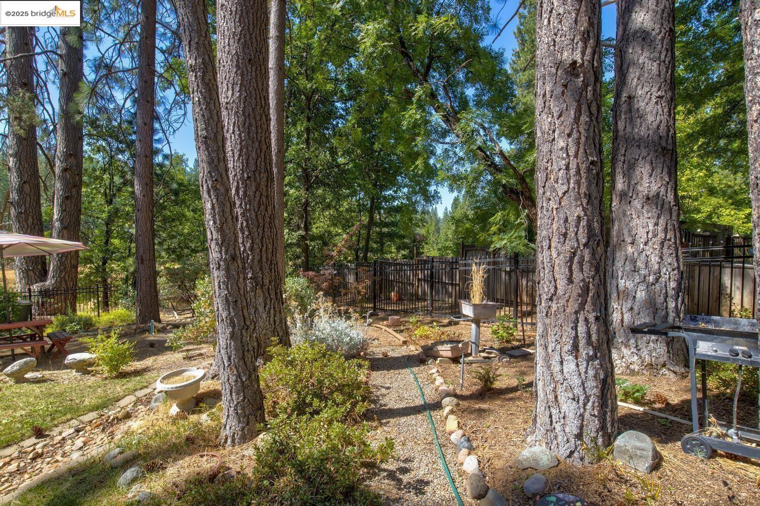 105 Avery Sheep Ranch Road Avery, CA 95224 - Photo 55 of 59 Gallery Image 55