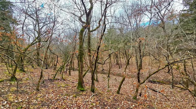 $229,900 | 12156 Ellis Road, Centerville, KS 66014