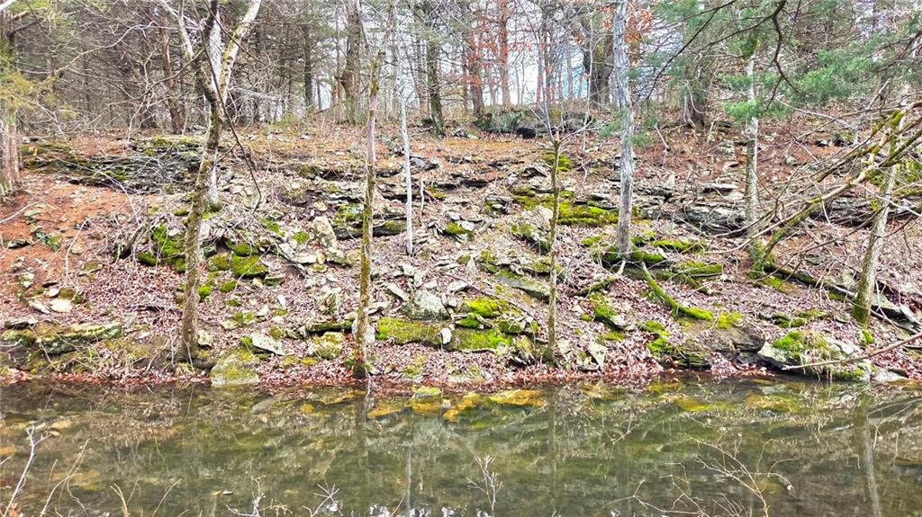 12156 Ellis Road Centerville, KS 66014 - Photo 12 of 74