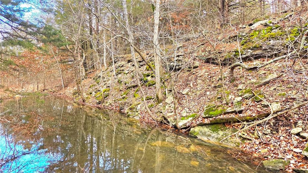 12156 Ellis Road Centerville, KS 66014 - Photo 13 of 74