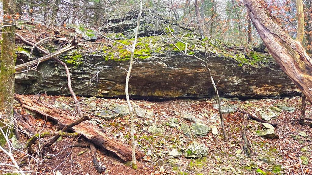 12156 Ellis Road Centerville, KS 66014 - Photo 14 of 74