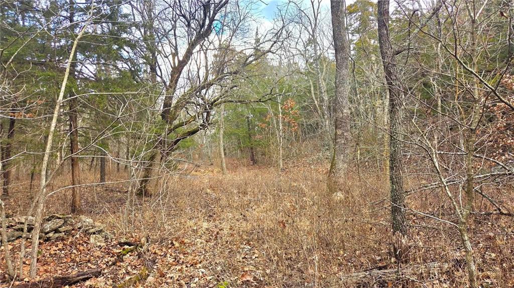 12156 Ellis Road Centerville, KS 66014 - Photo 15 of 74