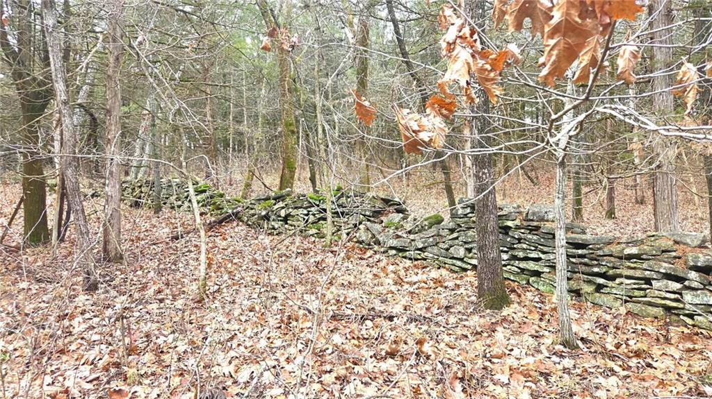 12156 Ellis Road Centerville, KS 66014 - Photo 16 of 74