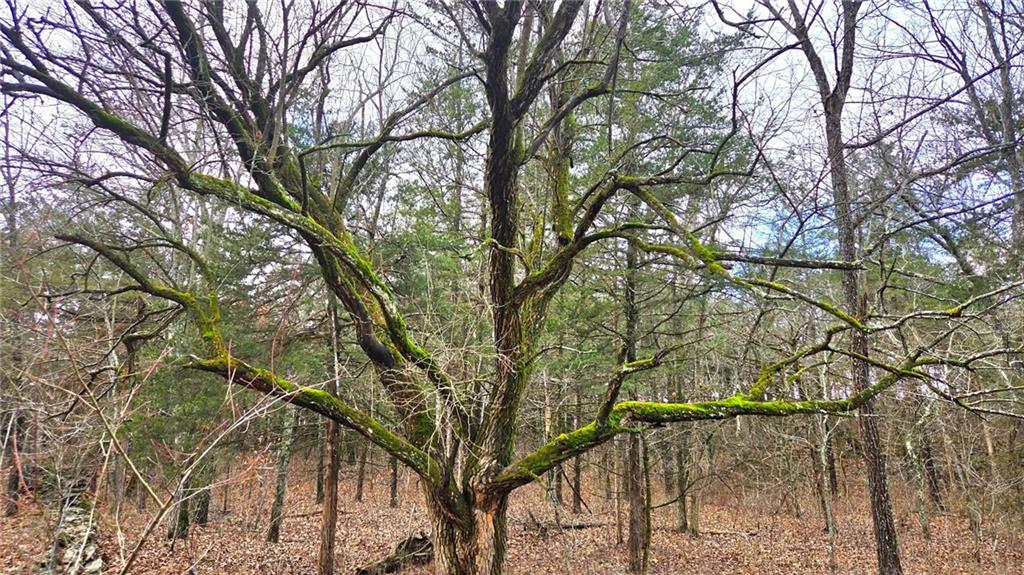 12156 Ellis Road Centerville, KS 66014 - Photo 18 of 74