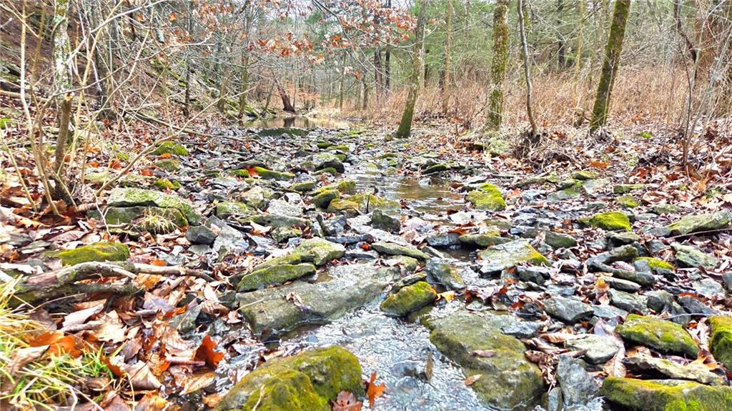 12156 Ellis Road Centerville, KS 66014 - Photo 19 of 74