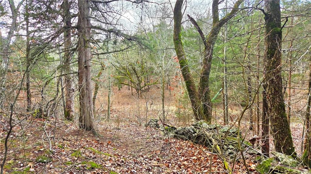 12156 Ellis Road Centerville, KS 66014 - Photo 20 of 74