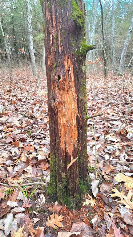 12156 Ellis Road Centerville, KS 66014 - Photo 2 of 74