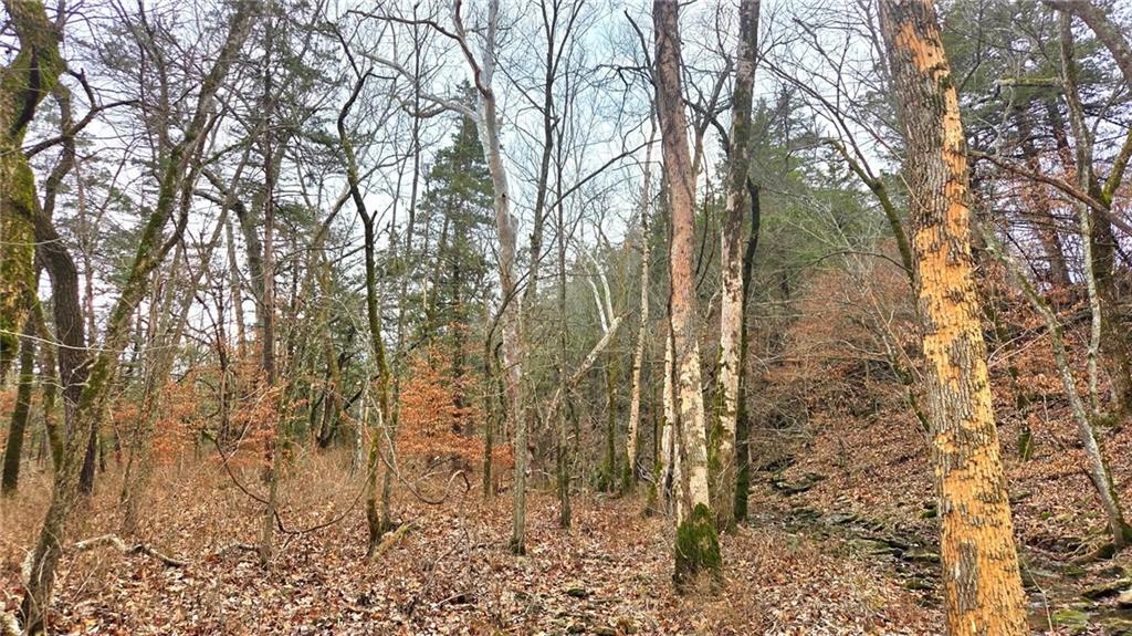 12156 Ellis Road Centerville, KS 66014 - Photo 22 of 74