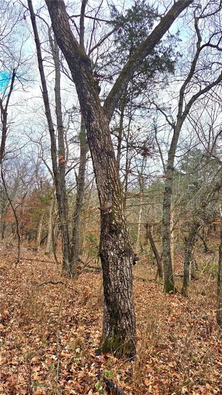 12156 Ellis Road Centerville, KS 66014 - Photo 23 of 74