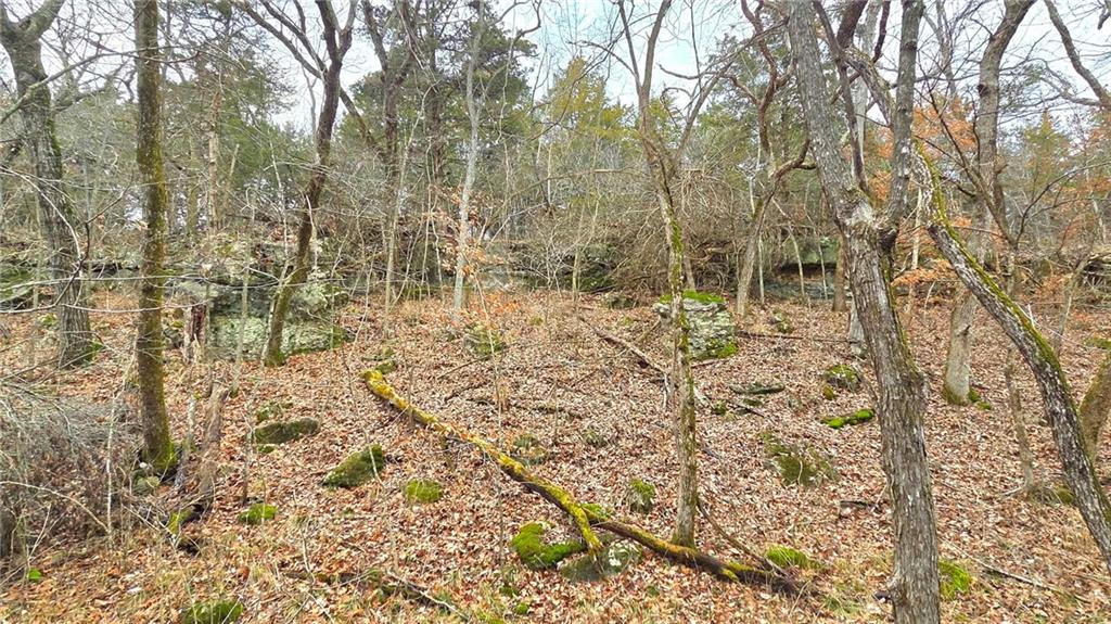 12156 Ellis Road Centerville, KS 66014 - Photo 24 of 74