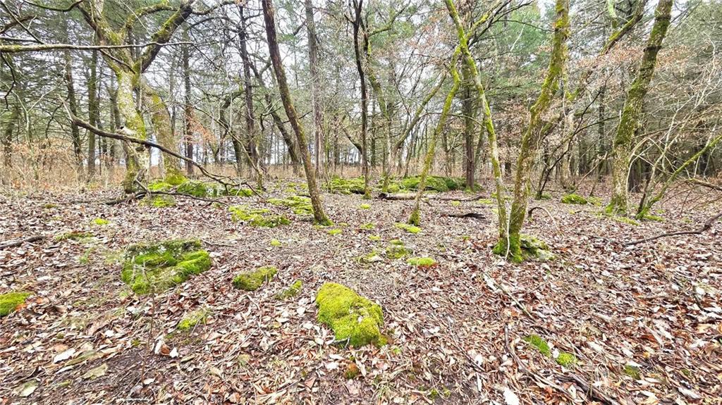 12156 Ellis Road Centerville, KS 66014 - Photo 26 of 74