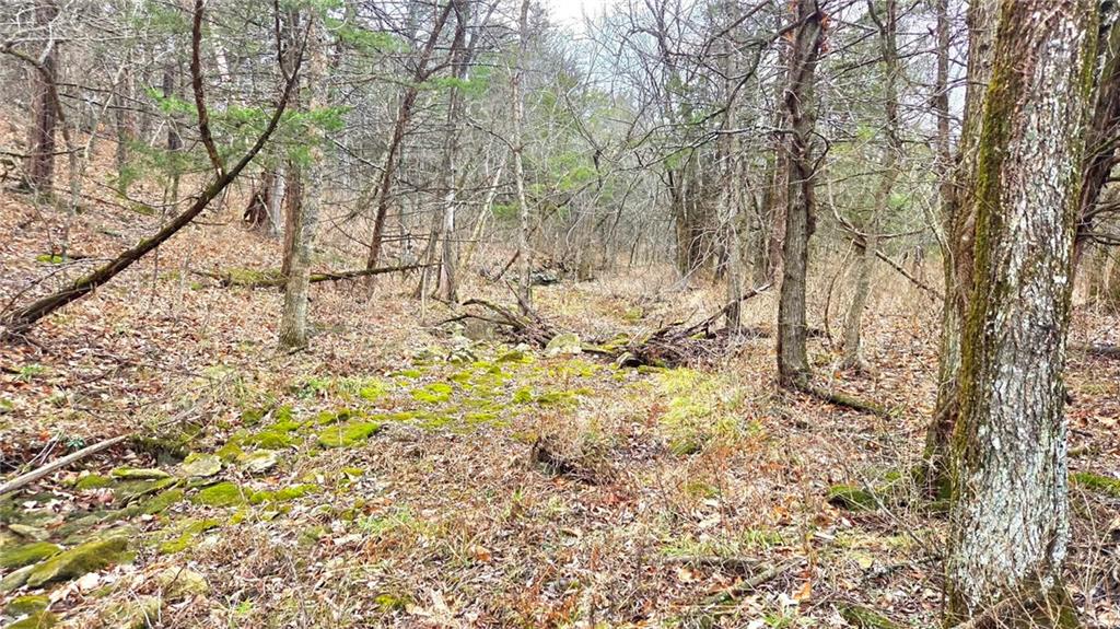 12156 Ellis Road Centerville, KS 66014 - Photo 27 of 74