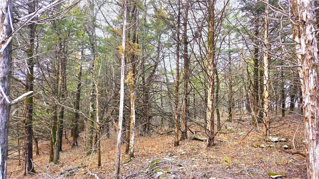 12156 Ellis Road Centerville, KS 66014 - Photo 29 of 74