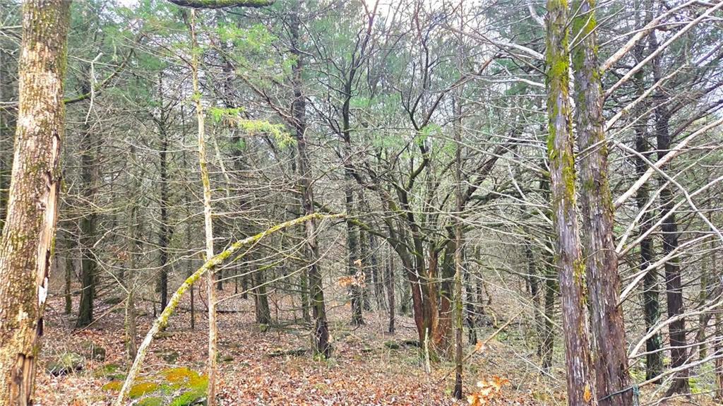 12156 Ellis Road Centerville, KS 66014 - Photo 30 of 74