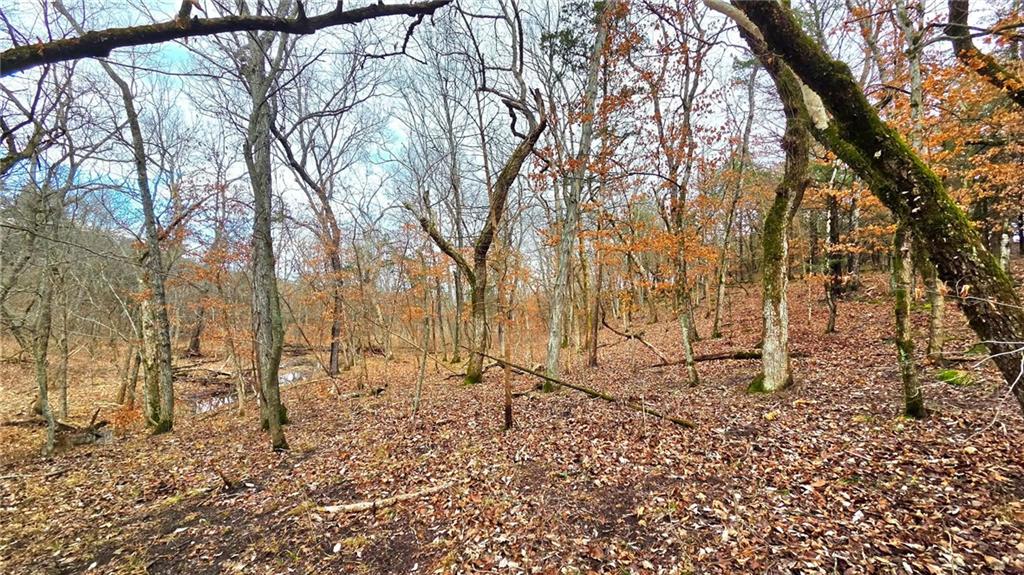 12156 Ellis Road Centerville, KS 66014 - Photo 3 of 74