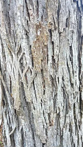 $229,900 | 12156 Ellis Road, Centerville, KS 66014