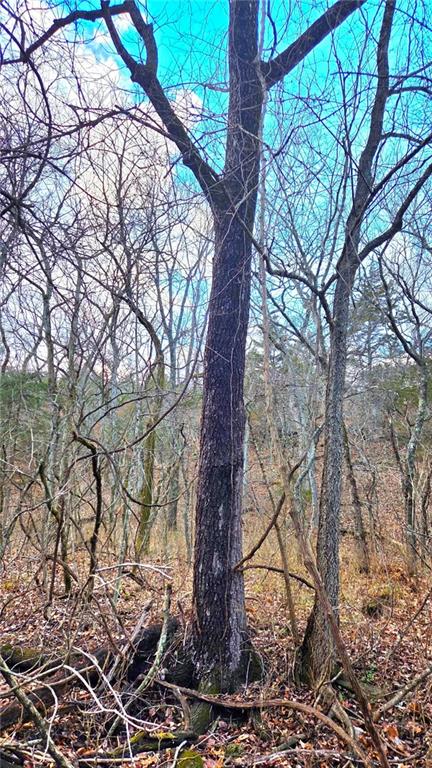 12156 Ellis Road Centerville, KS 66014 - Photo 34 of 74