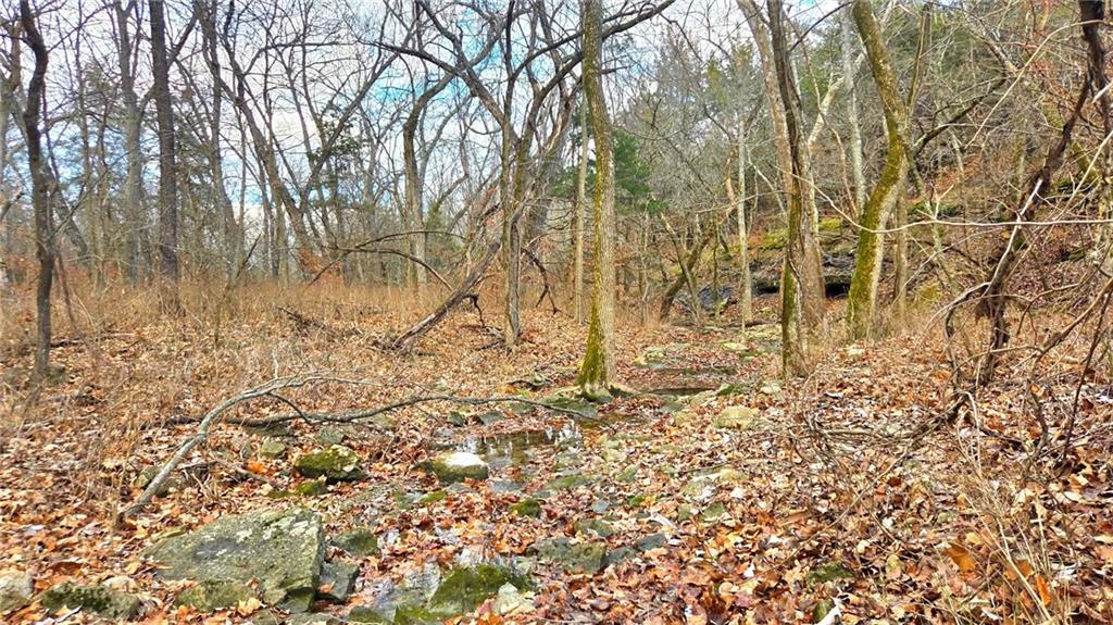 12156 Ellis Road Centerville, KS 66014 - Photo 36 of 74