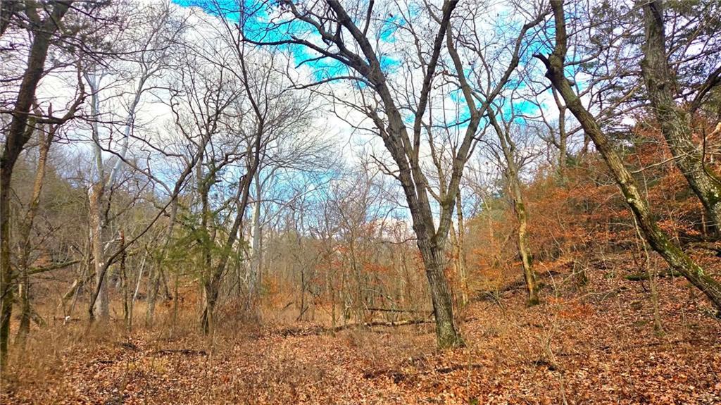 12156 Ellis Road Centerville, KS 66014 - Photo 37 of 74