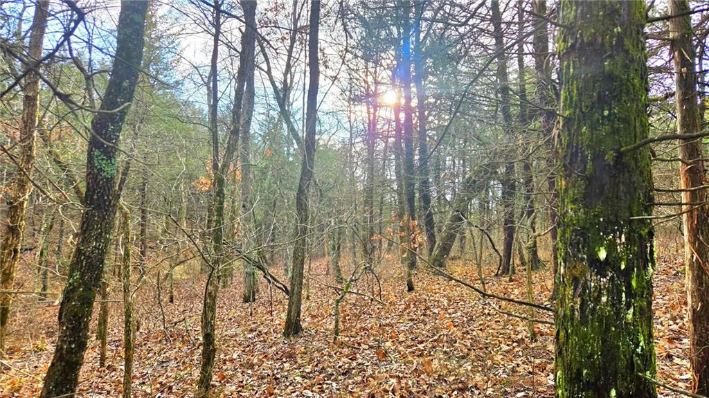 12156 Ellis Road Centerville, KS 66014 - Photo 40 of 74