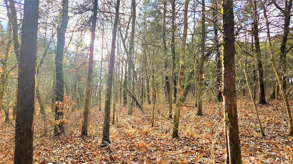 12156 Ellis Road Centerville, KS 66014 - Photo 41 of 74